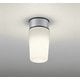 エクステリアライト/要電気工事/高演色LED/白熱灯器具60W相当/防雨・防湿型 OW009395LCR