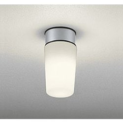 エクステリアライト/要電気工事/高演色LED/白熱灯器具60W相当/防雨・防湿型 OW009395LCR