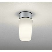 エクステリアライト/要電気工事/高演色LED/白熱灯器具60W相当/防雨・防湿型 OW009395LCR