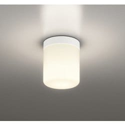 バスルームライト/要電気工事/高演色LED/白熱灯器具60W相当/防湿型 OW269051LR
