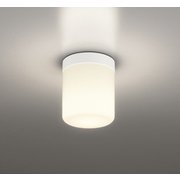 バスルームライト/要電気工事/白熱灯器具60W相当/防湿型 OW269051RG