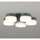 シーリングファン灯具/シーリングファン/要電気工事/高演色LED WF260PR