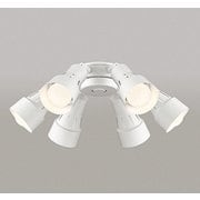 シーリングファン灯具/シーリングファン/要電気工事/高演色LED WF277PR1