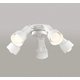 シーリングファン灯具/シーリングファン/要電気工事/高演色LED WF278PR1