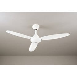 シーリングファン/要電気工事/簡易結線型リモコン付 WF504P1