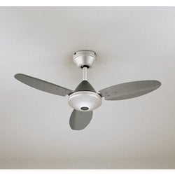 シーリングファン/要電気工事/簡易結線型リモコン付 WF505P1