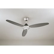 シーリングファン/要電気工事/簡易結線型リモコン付 WF506P1
