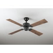 シーリングファン/要電気工事/簡易結線型/リモコン付 WF831P1