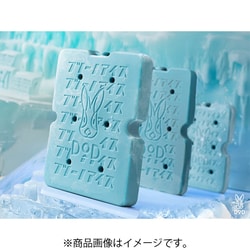 CL1-994-BL [フツーノアイスXL 2個セット ICE PACK（XL） ブルー]