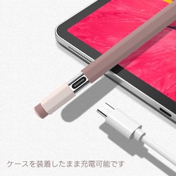 Apple Pencil（USB-C） 本体（外箱あり） Amazon | UGREEN ipad ペンシル ワイヤレス/Type-C急速充電