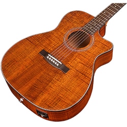 Guild/ギルド アコースティックギター D-260CE Deluxe ヨドバシ.com - ギルド Guild OM-260CE DLX BLACKWOOD
