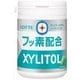 キシリトールガム+フッ素【ペパーミント】スリムボトル 125g