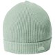 スモールロゴビーニー Kids’ Small Logo Beanie NNJ42300 ペールグリーン PN [アウトドア 帽子 キッズ]