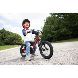 ヨドバシ.com - アイデス IDES 子ども用自転車 D-Bike Master