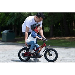 ヨドバシ.com - アイデス IDES 子ども用自転車 D-Bike Master