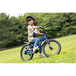 はじめて〉専用子ども自転車 D-Bike Master Fit