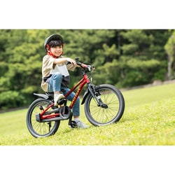 ヨドバシ.com - アイデス IDES 子ども用自転車 D-Bike Master