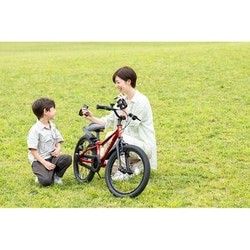 ヨドバシ.com - アイデス IDES 子ども用自転車 D-Bike Master