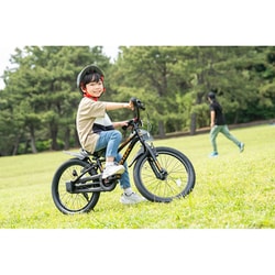 ヨドバシ.com - アイデス IDES 子ども用自転車 D-Bike Master