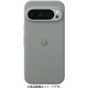 GA05652-WW [Google Pixel 9 Pro/9用 Case ヘーゼル]