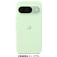 GA05655-WW [Google Pixel 9 Pro/9用 Case ウィンターグリーン]