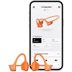 ヨドバシ.com - ショックス Shokz オープンイヤー型ワイヤレス