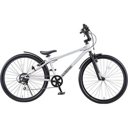 ides 「アイデス」D-Bike BM XSTREET（Dバイク ビーエムエク
