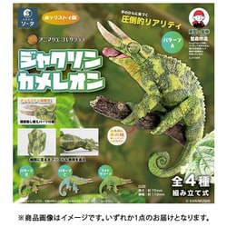 ヨドバシ.com - ソータ SO-TA アニマリエコレクション