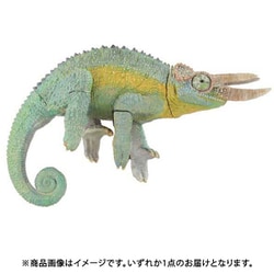 海洋堂　ジャクソンカメレオン　完成品 海洋堂 ジャクソンカメレオン 完成品 - メルカリ