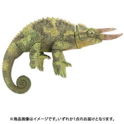 ヨドバシ.com - ソータ SO-TA アニマリエコレクション