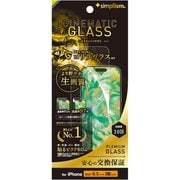 TR-IP24M3-GLS-GO2ARC [iPhone 16 Pro用 [Cinematic Glass] ケースとの相性抜群 ウルトラクリア ゴリラガラス 画面保護強化ガラス 光沢]