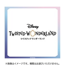 ハーフデッキパック/ディズニー ツイステッドワンダーランド キャラクターカードゲーム 『ヴァイスシュヴァルツブラウ』より
