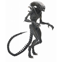 NECA ネカ スコーチドゼノモーフ エイリアン ロムルス フィギュア NECA ネカ/エイリアン ロムルス/スコーチド ゼノモーフ