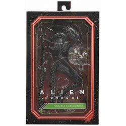 未開封品　箱ダメージ　neca ネカ　スコーチドゼノモーフ ヨドバシ.com - ネカ NECA アルティメット 7インチ アクション