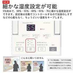 中古美品☆DAINICHI ハイブリッド式加湿器 HD-RXT524 ダイニチ工業 ハイブリッド式加湿器 RXT TYPE｜HD-RXT524(T