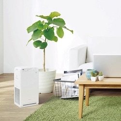 Amazon | MC55X-W ホワイト ダイキン | ダイキン(DAIKIN) | 空気