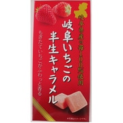 岐阜いちごの半生キャラメル 80g