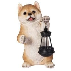 H23252 [オブジェ ソーラーランプを左手で持ち上げる柴犬]