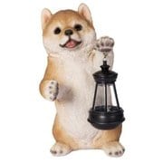 H23252 [オブジェ ソーラーランプを左手で持ち上げる柴犬]