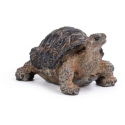 H16388 [オブジェ カメ]