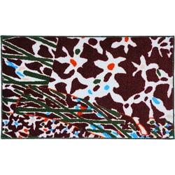 屋内用玄関マット iracchi キカザルサルタチ04 45×75cm DV00002