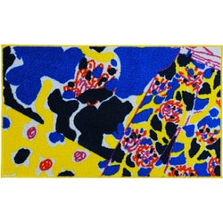 屋内用玄関マット iracchi キカザルサルタチ10 45×75cm DV00003