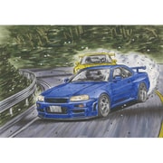 頭文字Dシリーズ No.22 1/24 スカイライン GT-R（BNR34） 星野好造 [組立式プラスチックモデル]