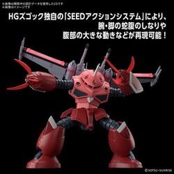 BANDAI - １／１４４　ＨＧ　ズゴック（ＳＥＥＤ　ＦＲＥＥＤＯＭ　Ｖｅｒ．） 1/144 HG ズゴック (SEED FREEDOM Ver.)【お届け時期未定