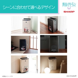 51ExQ74Mq1L._UF350,350_QL80_.jpg