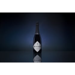 ヨドバシ.com - サケハンドレッド SAKE HUNDRED 深星 SHINSEI 12