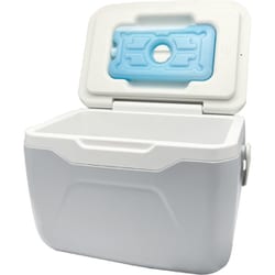 GR-CB48 [保冷剤付きクーラーボックス 4.8L ホワイト/グレー]