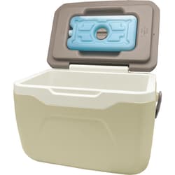 GR-CB48 [保冷剤付きクーラーボックス 4.8L ブラウン/ベージュ]
