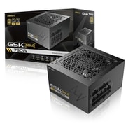 750W/80PLUS GOLD/ATX3.1対応/フルモジュラー式 GSK750 ATX3.1