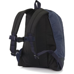 GREGORY バッグパック ファンデイV2 テンセルデニム グレゴリー（GREGORY）（メンズ、レディース）バッグ ファイン